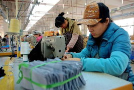 广西钦州临海工业园带动妇女就业